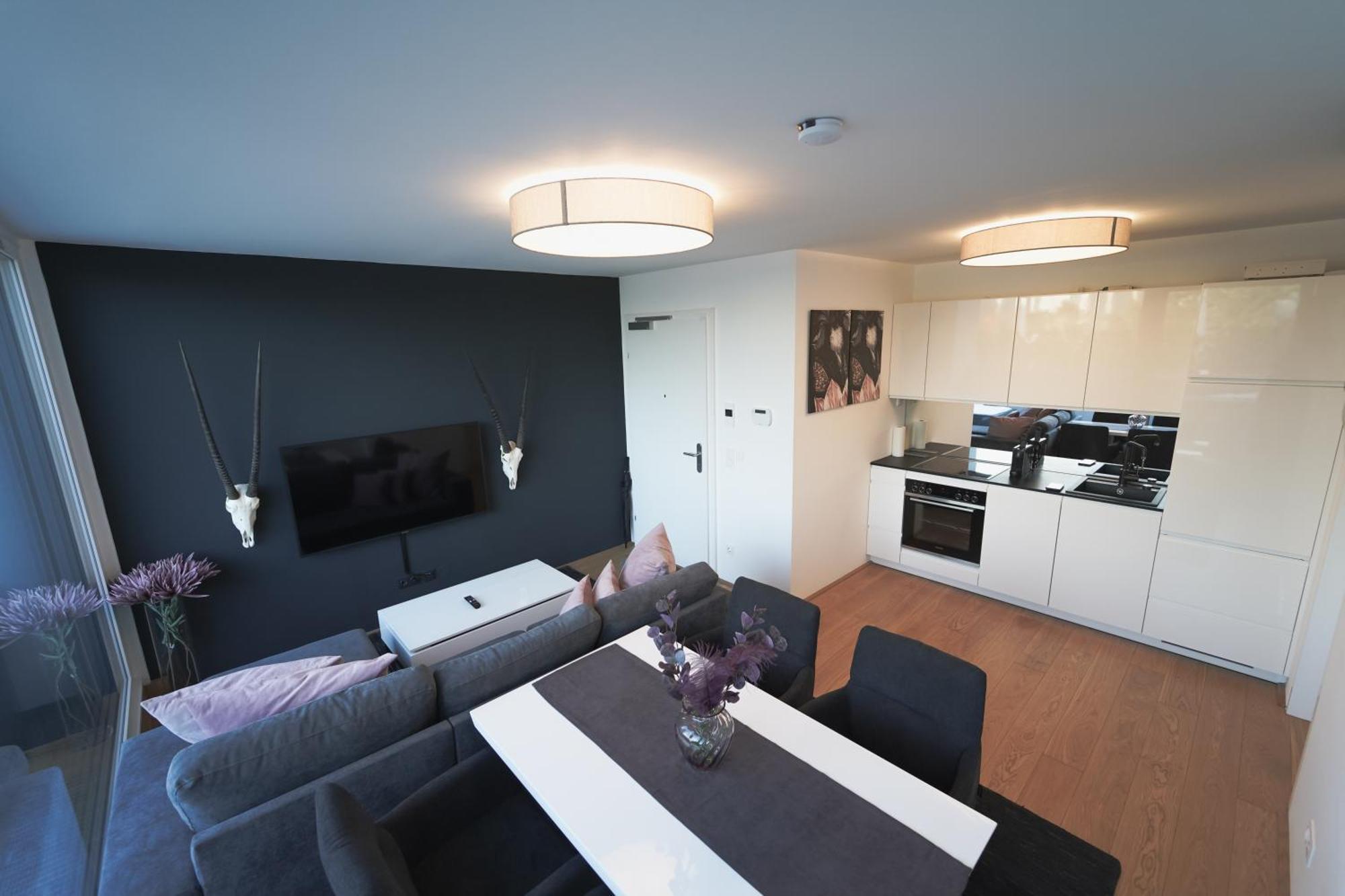 וינה Modern Stylish Design Apartment With Free Parking Emily מראה חיצוני תמונה